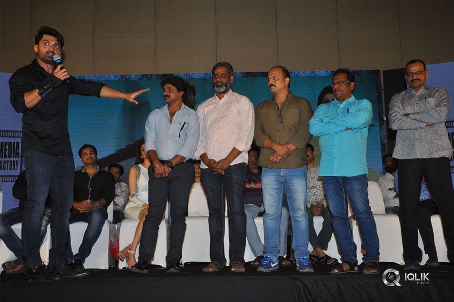 MLA-Movie-SuccessMeet